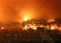South Korean Gov't Declares State of National Disaster Over Wildfires in Gangwon - Reports