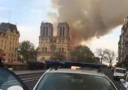 Macron's Majority Suspending European Election Campaign After Notre Dame Fire - Candidate
