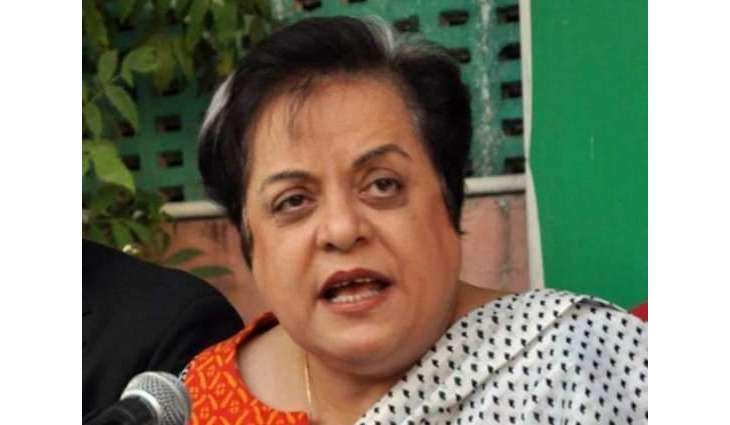 HR violations in Held Kashmir need immediate world attentions: Shireen Mazari