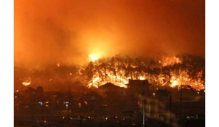 South Korean Gov't Declares State of National Disaster Over Wildfires in Gangwon - Reports