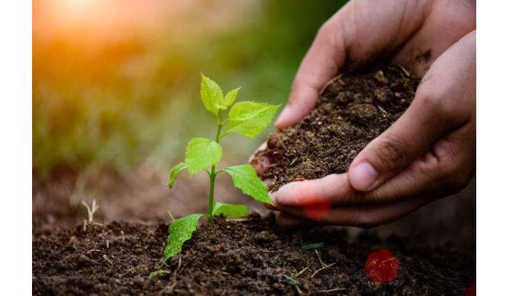 Tree plantation kicks off in Khyber Agency