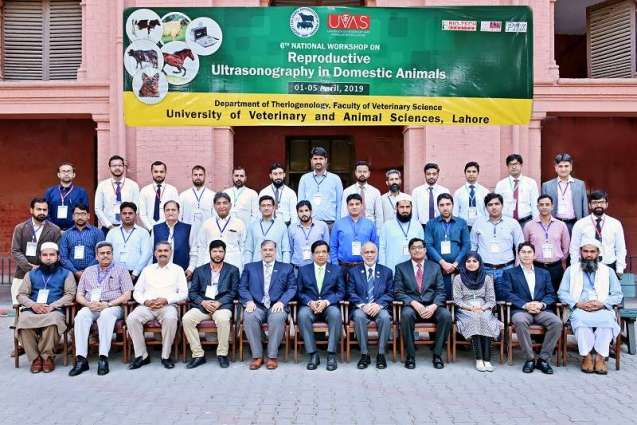 6th National workshop on‘Reproductive Ultrasonography in Domestic Animals’ concludes at UVAS
