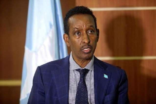 Somalian Foreign Minister to Attend Russian-Arab Forum on April 16 in Moscow - Embassy