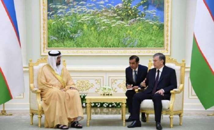 President of Uzbekistan receives UAE delegation