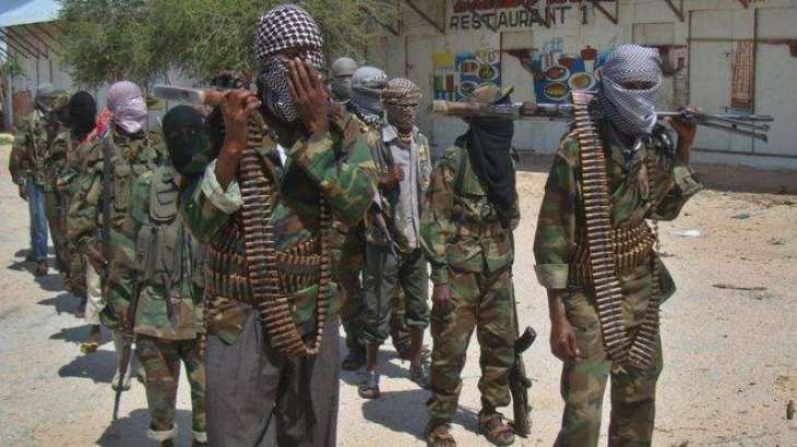 Senior Commander of IS-Linked Somalian Terrorist Group Killed in Airstrike - Reports