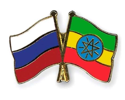 Russia, Ethiopia Sign Road Map on Joint Nuclear Projects - Rosatom