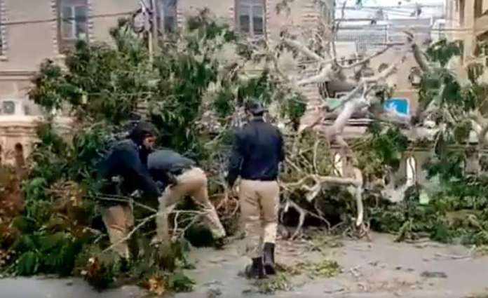 Female SHO removes trees after dust storm in Karachi