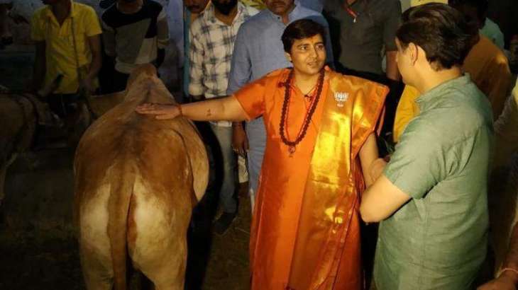 BJP candidate claims cow urine cured her breast cancer