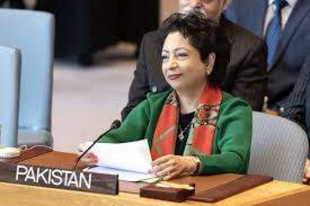 Maleeha Lodhi calls for gearing up efforts for the protection  of women in conflicts