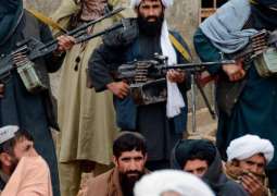 US Watchdog Says Congress Must Plan for 'Day After' Possible US-Taliban Peace Deal