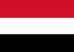 الحكومة اليمنية تطالب بتدخل الأمم المتحدة للإفراج عن شحنة أدوية لمرضى السرطان يحتجزها الحوثيون