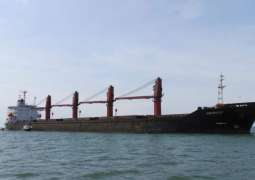 Pyongyang Accuses US of Violating Arrangements After North Korean Cargo Ship Seizure