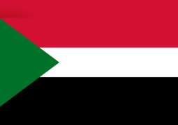 Sudan condemns sabotage acts against 4 commercial ships near UAE territorial waters