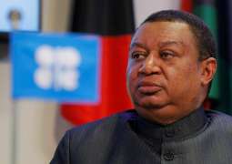 Stability of the region is necessary to ensure continuation of oil supplies, says OPEC Secretary-General