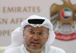UAE Seeks De-Escalation in Persian Gulf, Blames Iran for Fresh Tensions - Foreign Minister