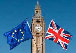 Brexit Uncertainty Negatively Impacts Russia-UK Trade - Russian Embassy