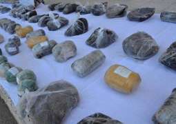 Iranian Police Seize Over One Tonne of Illegal Drugs Across Country - Reports