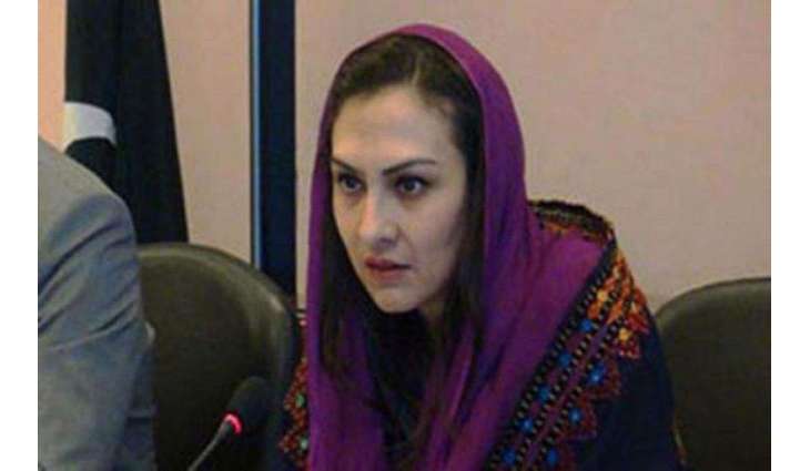 Jail Bharo Rally isn't worth your love for NS, Marvi Memon tweets