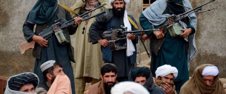US Watchdog Says Congress Must Plan for 'Day After' Possible US-Taliban Peace Deal
