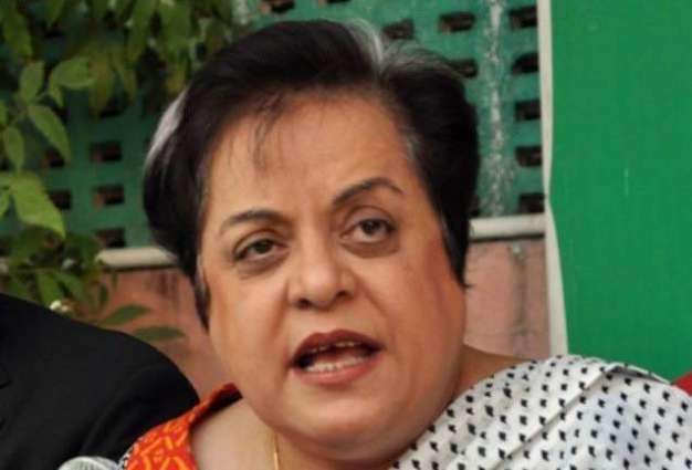 PTI govt committed to ensure basic rights of all citizens: Dr Mazari