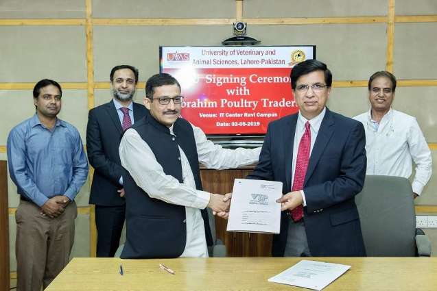 UVAS, Ibrahim Poultry Traders sign MoU to enhance cooperation for the development of poultry sector