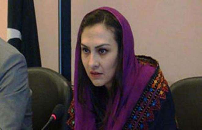 Jail Bharo Rally isn't worth your love for NS, Marvi Memon tweets