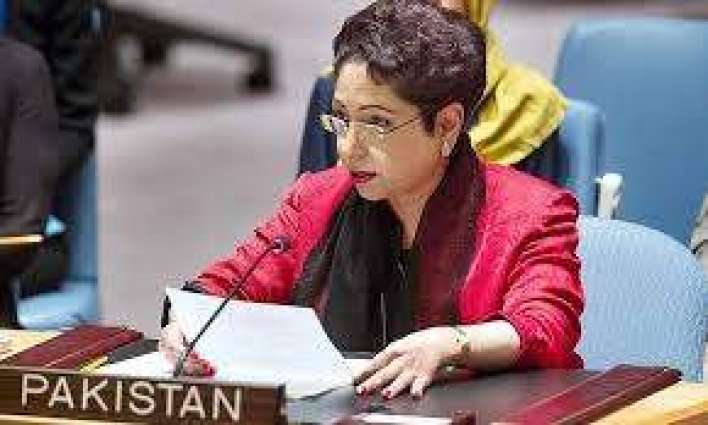 UN should initiate political process along with peacekeeping missions for lasting peace: Maleeha Lodhi