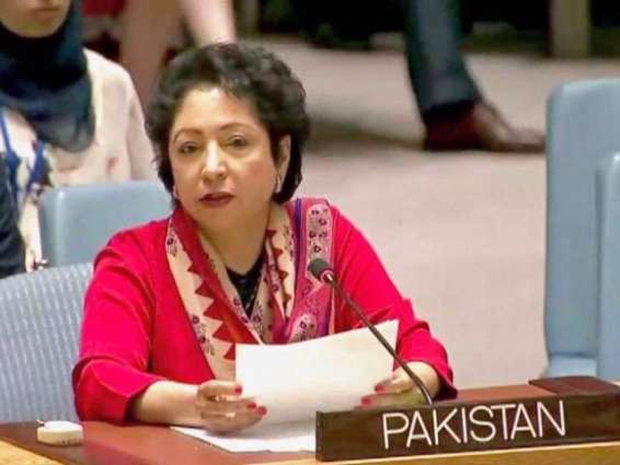 'Pakistan's UN Peacekeeping role shows strong support for multilateralism'