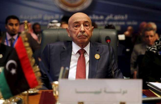 End Time of LNA Operation in Tripoli Yet to Be Defined - Libyan Parliament Speaker