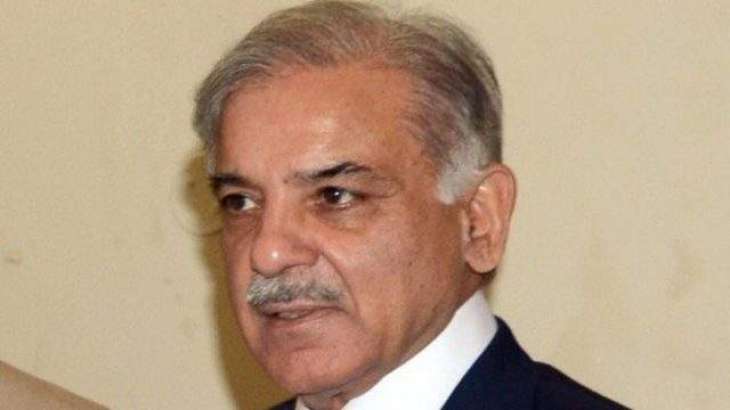 Those harping on filing any application by to  seek political asylum should provide evidence: Shahbaz Sharif