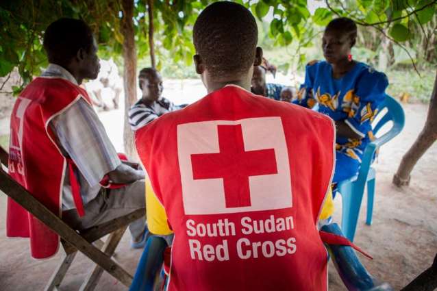 ICRC to Focus on Essential Health Services in South Sudan in 2019 - Official