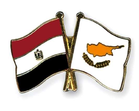 Egypt, Cyprus Sign Historic Deal to Connect Power Grids