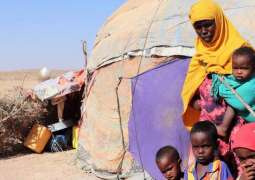 Urgent Additional Aid Needed to Support People Displaced by Drought in Somalia - UNHCR