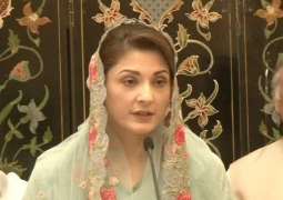 ECP seeks reply from PML-N upon plea against Maryam Nawaz appointment as PML-N VP