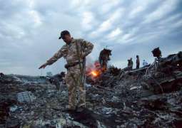 MH17 Crash Investigators Name 4 Suspects, Hearing Planned for March - Victim Relative