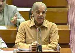 Shahbaz Sharif criticized PTI's ten month performance in government