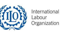 ILO's report hails high rate of women’s participation in UAE