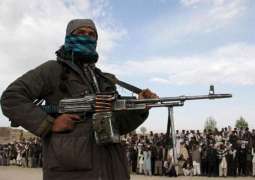 Taliban Kill 30 Militias in Northern Afghanistan - Reports