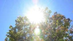 Hot, dry weather expected in most parts of country