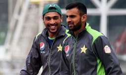 Shoaib Malik, Mohammad Amir request people to be kind to them