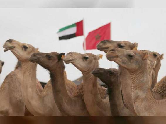 UAE to participate in Tan-Tan Moussem in Morocco