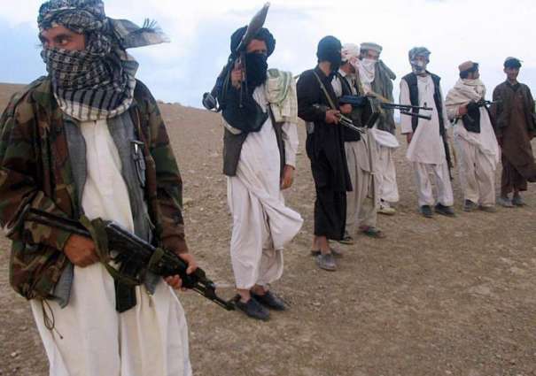 Almost 500 Taliban Fighters Freed in Afghanistan