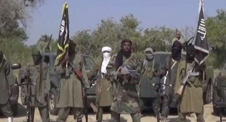 Over 30 People Killed by Boko Haram Militants in Cameroon - Reports