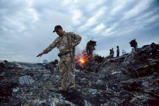 MH17 Crash Investigators Name 4 Suspects, Hearing Planned for March - Victim Relative