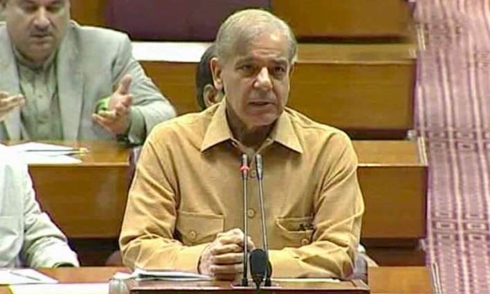 Shahbaz Sharif criticized PTI's ten month performance in government