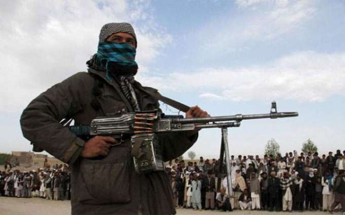 Taliban Kill 30 Militias in Northern Afghanistan - Reports