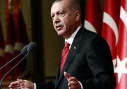 Erdogan Says Turkey, Japan Ready to Mediate Iran-US Conflict