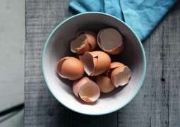 How crushed eggshells could help repair bone damage