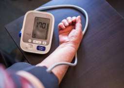 High blood pressure: Could gut bacteria play a role?