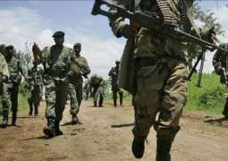 Increasing Number of Combatants Willing to Stop Fighting in DRC - UN Official